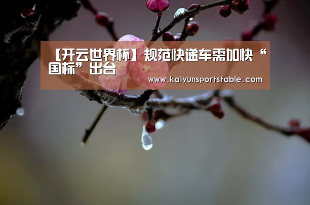 【开云世界杯】规范快递车需加快“国标”出台(图1) 开云世界杯