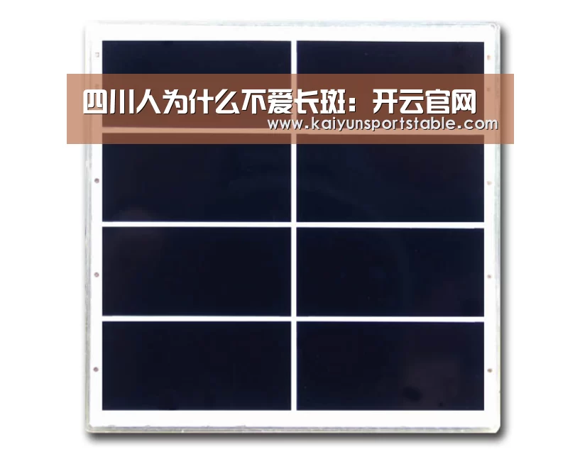 四川人为什么不爱长斑:开云官网(图2) 开云首页
